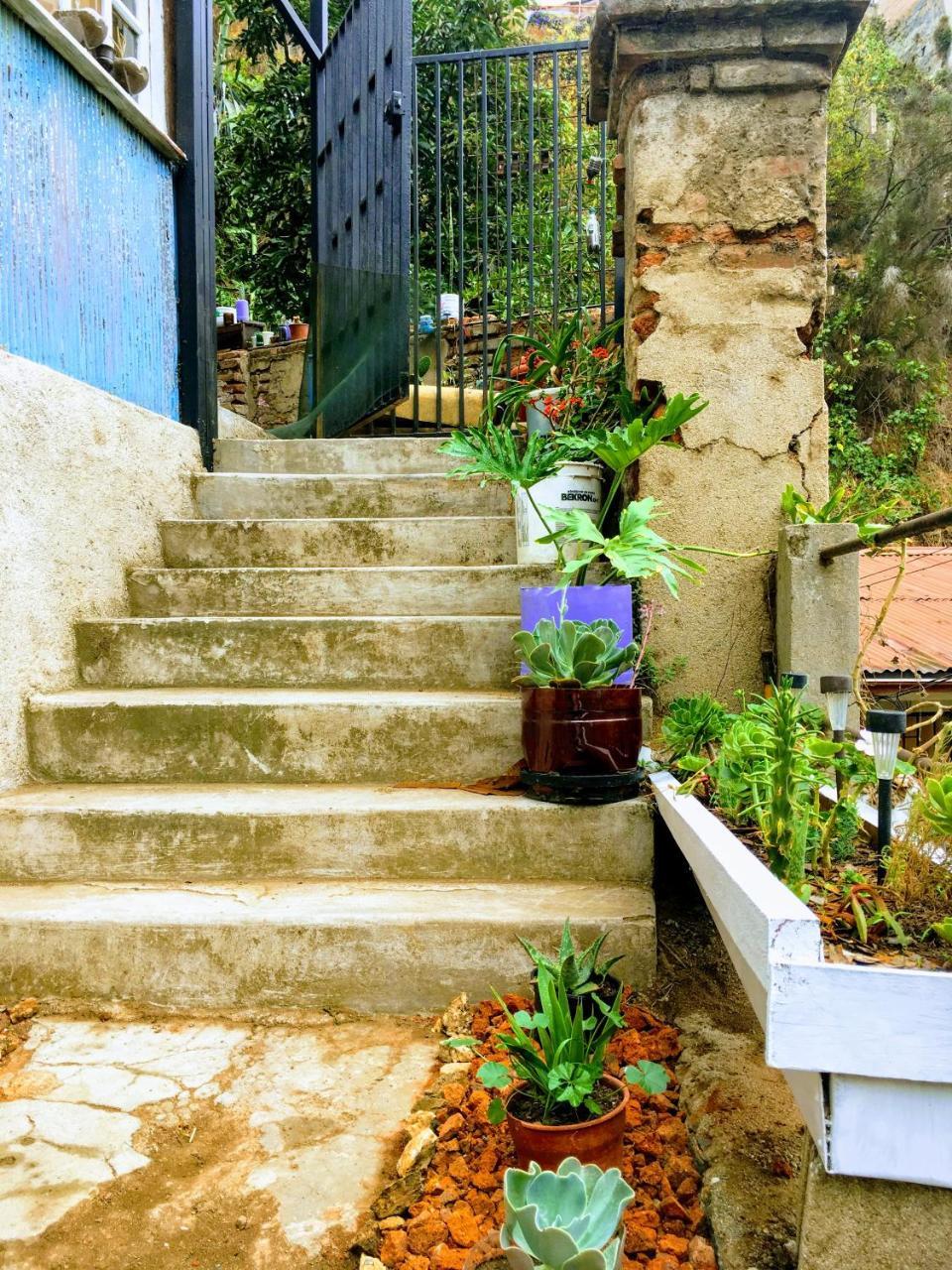 Selva Hospedaje Valparaíso Extérieur photo